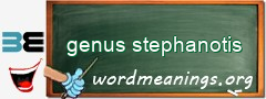WordMeaning blackboard for genus stephanotis